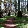 Hendy Woods State Park (SP)