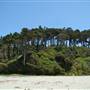 Jug Handle State Natural Reserve (SNR)