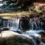Limekiln State Park (SP)