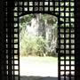Shasta State Historic Park (SHP)