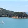 Angel Island State Park (SP)