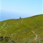 Mount Tamalpais State Park (SP)