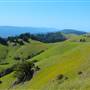 Mount Tamalpais State Park (SP)