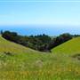 Mount Tamalpais State Park (SP)