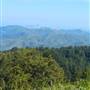 Mount Tamalpais State Park (SP)