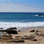 Pescadero State Beach (SB)