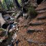 Limekiln State Park (SP)