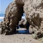 El Matador State Beach @ Robert H. Meyer Memorial State Beach (SB) - CFC