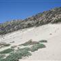 Point Mugu State Park (SP) – Sandy Dune