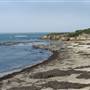 Año  Nuevo State Park (SP)
