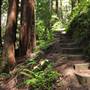 Big Basin Redwoods State Park (SP)