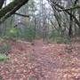 Bothe-Napa Valley State Park (SP)