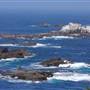 Point Lobos State Natural Reserve (SNR)