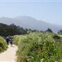 Point Lobos State Natural Reserve (SNR)