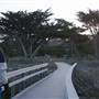 Asilomar State Beach and Conference Grounds