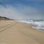 Marina State Beach (SB)