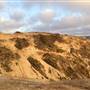 Torrey Pines State Natural Reserve (SNR)