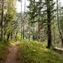 Big Basin Redwoods State Park (SP)