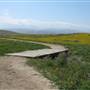 Antelope Valley California Poppy Reserve State Natural Reserve (SNR)