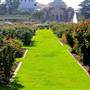 Exposition Park Rose Garden