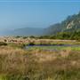 Prairie Creek Redwoods State Park (SP) within the Redwood National and State Parks