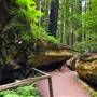 Humboldt Redwoods State Park (SP)