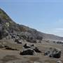 Westport-Union Landing State Beach (SB)
