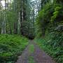 Del Norte Coast Redwoods State Park (SP) within the Redwood National and State Parks