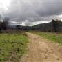 Chino Hills State Park (SP)