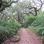 Tomales Bay State Park (SP)