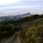 Andrew Molera State Park (SP)