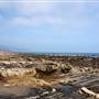 Point Dume Bluffs / Headlands / Big Dume Beach and Pirates Cove Beach @ Point Dume State Preserve - CFC