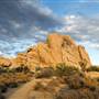 Joshua Tree National Park - NPS