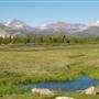 Tuolumne Meadows