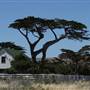 Channel Islands National Park