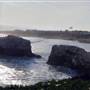 Natural Bridges State Beach (SB)