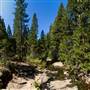Calaveras Big Trees State Park (SP)
