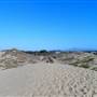 Marina State Beach (SB)