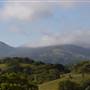 Pacheco State Park (SP) and Windmill Farm / Wind Energy