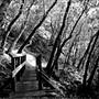 Castle Rock State Park (SP)