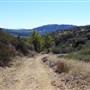 Wildwood Canyon Park Property
