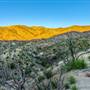 Angeles National Forest