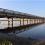 Bolsa Chica Ecological Reserve - California Department of Fish & Wildlife (CDFW)