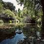 Los Padres National Forest - Monterey Ranger District