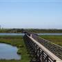 Bolsa Chica Ecological Reserve - California Department of Fish & Wildlife (CDFW)