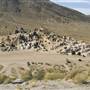 Hungry Valley State Vehicle Recreation Area - SVRA
