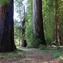 Benbow State Recreation Area (SRA)