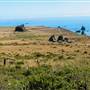 Sonoma Coast State Park (SP)