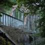 Henry Cowell Redwoods State Park (SP)