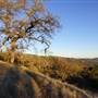 Henry W. Coe State Park (SP)
